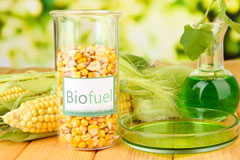 Badgeney biofuel availability